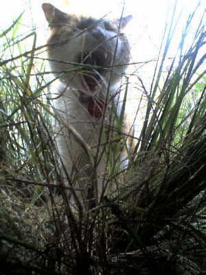Buddy I wanna come IN !!