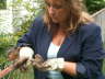 Patrice rescuing two birds 