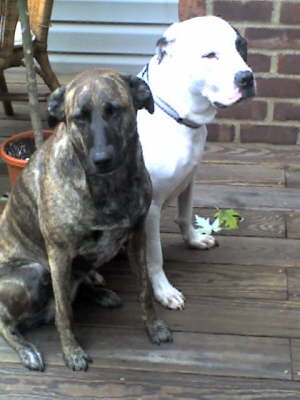 Sasha & Oscar