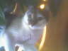 Madison 