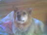 Holly 
